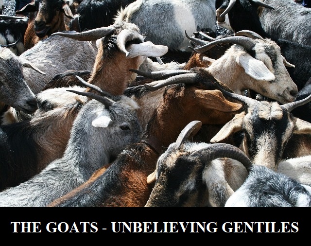The Goats of the Judgement of the Sheep and the Goats