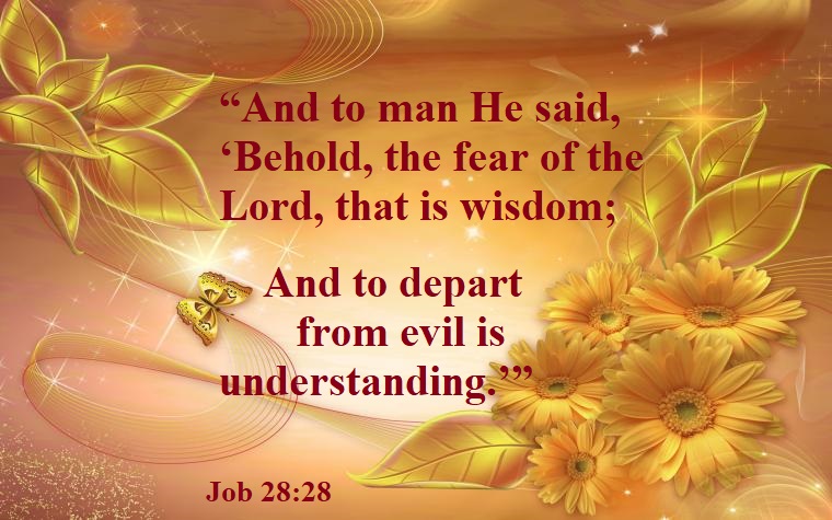 Wisdom and Understanding