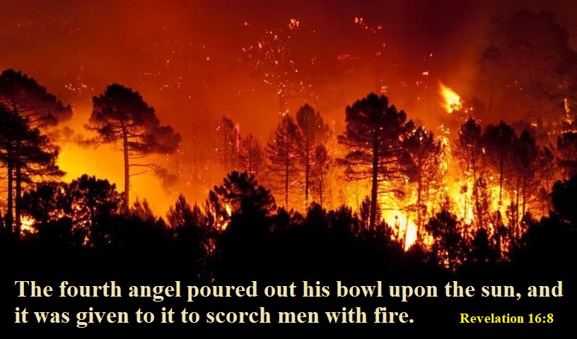 Wildfires