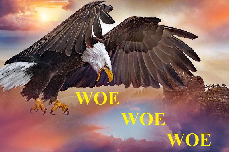 Eagle saying Woe Woe Woe
