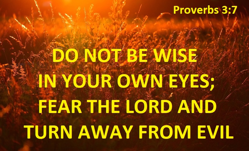 Wisdom Proverbs 7:3