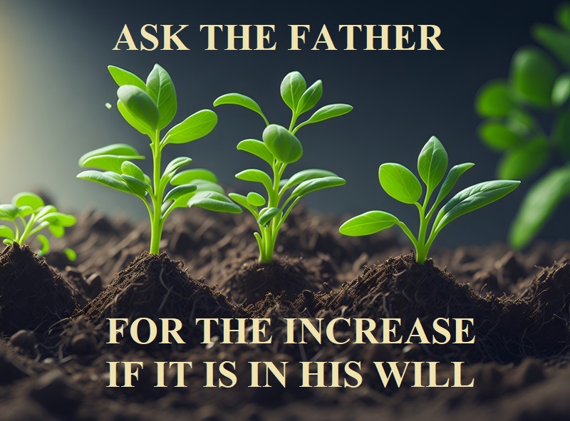 Increase