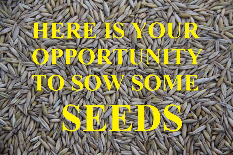 Seeds
