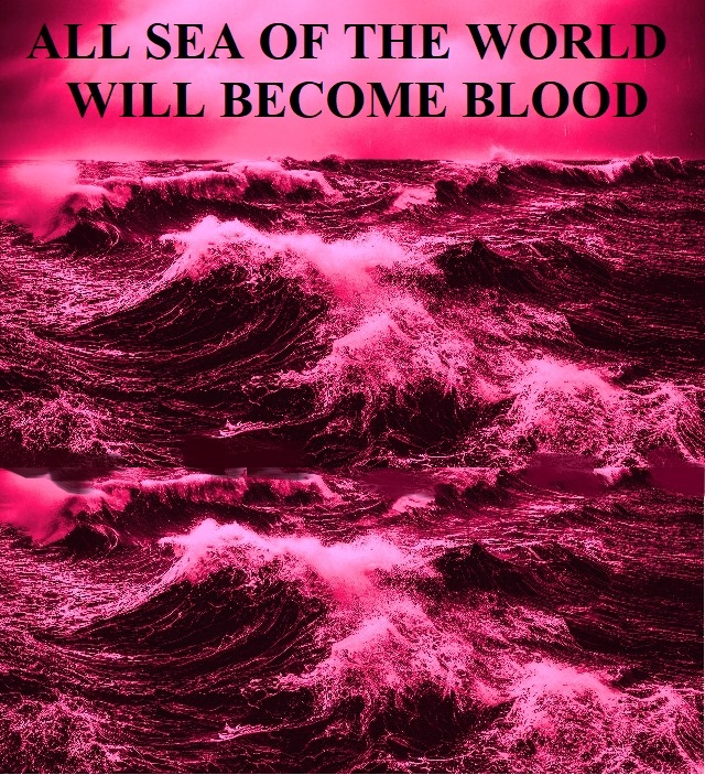 The second angel poured out his bowl into the sea, and it became blood like that of a dead man; and every living thing in the sea died. Revelation 16:3