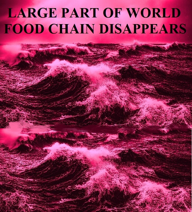 The second angel poured out his bowl into the sea, and it became blood like that of a dead man; and every living thing in the sea died. Revelation 16:3