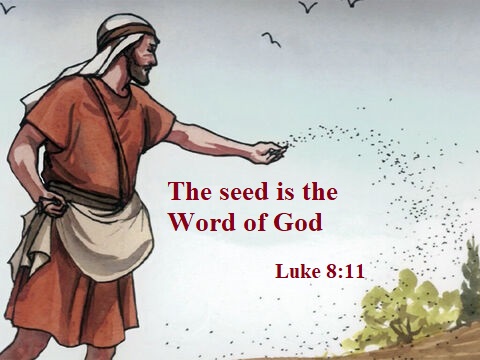 The Sower